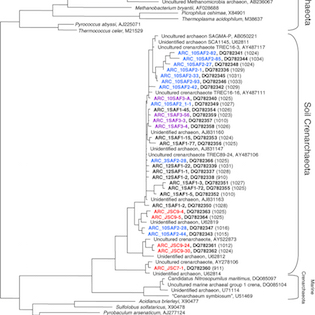 Archaeal diversity analysis of spacecraft assembly clean rooms.