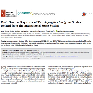 Draft Genome Sequences of Two Aspergillus fumigatus Strains, Isolated from the International Space Station
