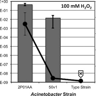 Characterization of Hydrogen Peroxide–Resistant Acinetobacter Species Isolated during the Mars Phoenix Spacecraft Assembly.